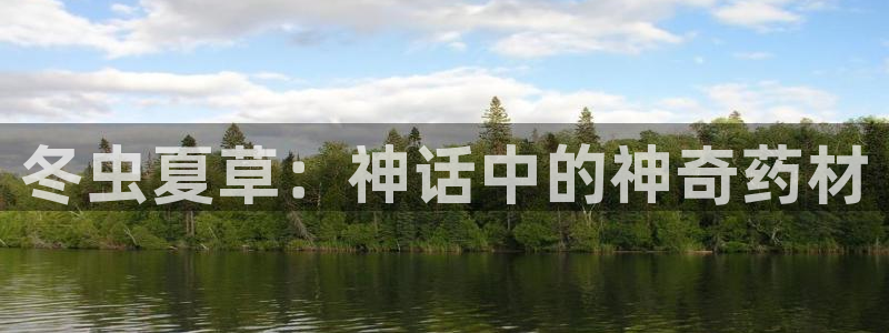 51漫画入：冬虫夏草：神话中的神奇药材