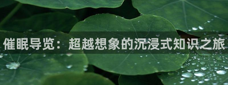 51漫画入口免费进入：催眠导览：超越想象的沉浸式知识之旅